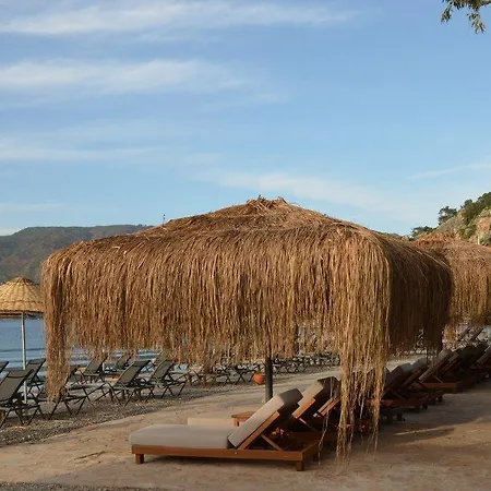 Cook's Club Adakoy, - Adults Only 