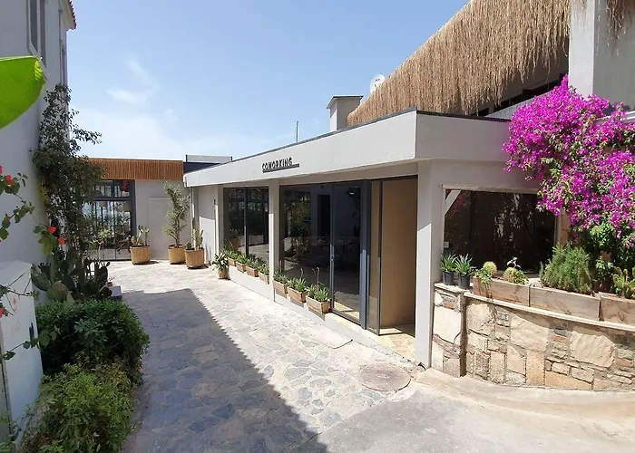 Resort Cook's Club Adakoy, - Adults Only 