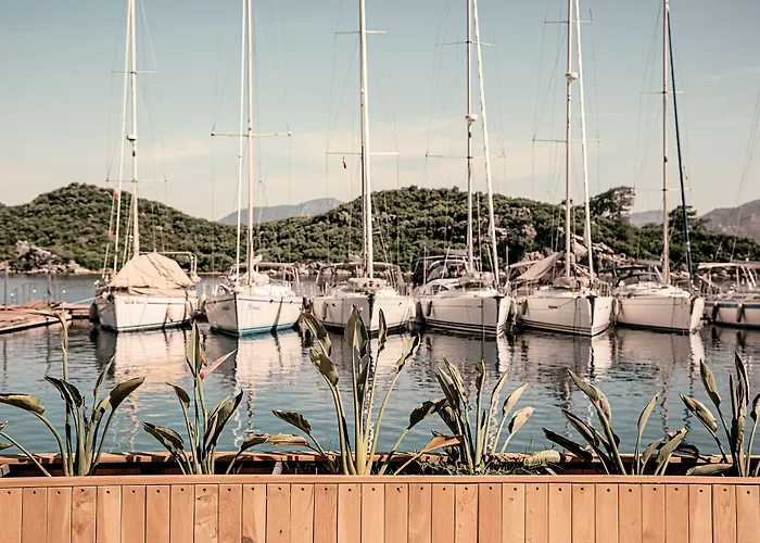 Cook's Club Adakoy, - Adults Only 