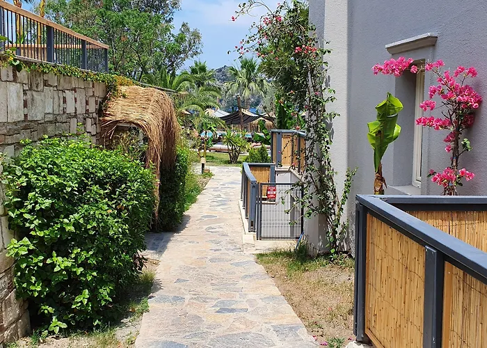 Resort Cook's Club Adakoy, - Adults Only 