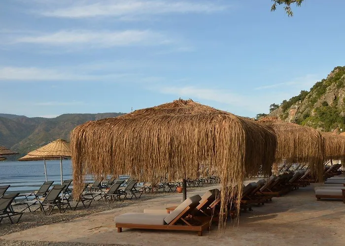 Cook's Club Adakoy, - Adults Only 