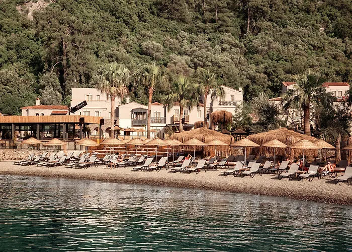 Semesteranläggning (resort) Cook's Club Adakoy, - Adults Only 