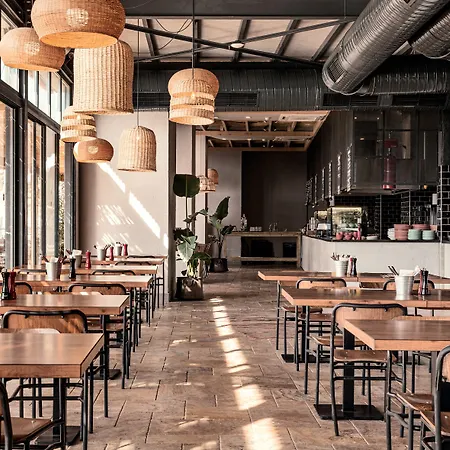 Cook's Club Adakoy, - Adults Only 